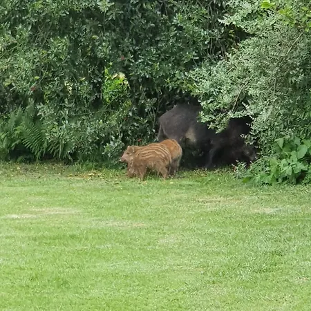 アパートホテル La Jonquette 4*