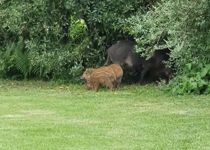 Appart hôtel La Jonquette 4*